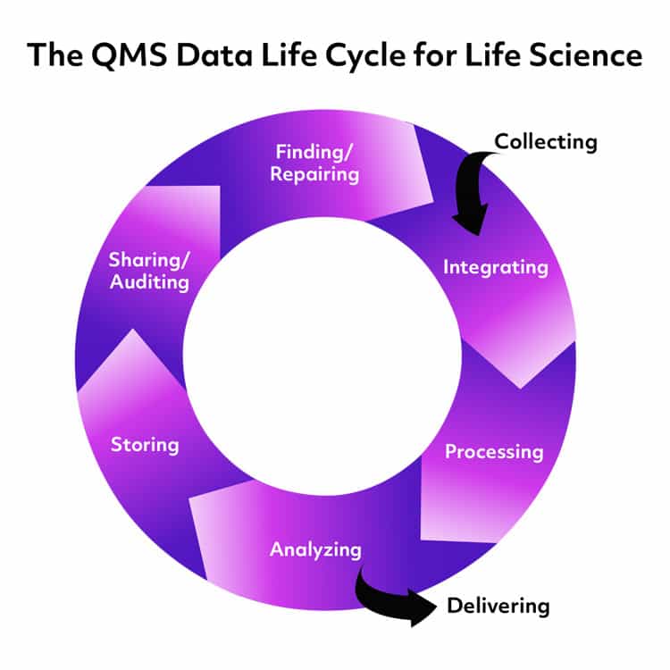 The Data Life Cycle in Life Science