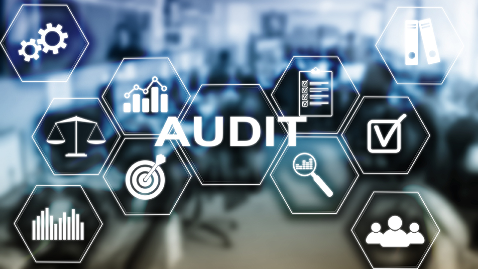 Audit Management is greatly enhanced with a quality QMS.